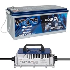 Weize 36v 105ah for sale  Delivered anywhere in USA 