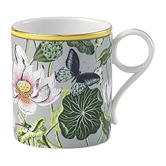 Wedgwood wonderlust tazza usato  Spedito ovunque in Italia 