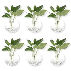 Pack glass planters for sale  Delivered anywhere in USA 