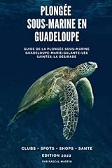 Plongée sous marine usato  Spedito ovunque in Italia 