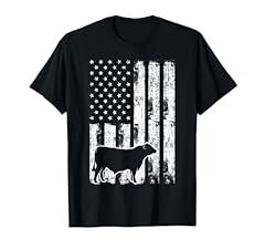 Vintage american flag for sale  Delivered anywhere in USA 