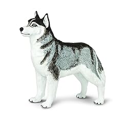 Safari husky sibérien d'occasion  Livré partout en Belgiqu