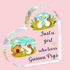 Sdofy guinea pig for sale  Delivered anywhere in UK