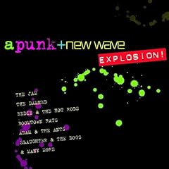 Punk new wave gebraucht kaufen  Wird an jeden Ort in Deutschland