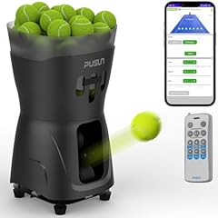 Pusun minipro tragbare gebraucht kaufen  Wird an jeden Ort in Deutschland