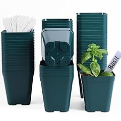 June fox plastic for sale  Delivered anywhere in USA 