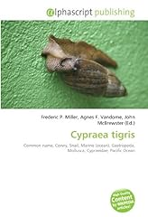 Cypraea tigris common d'occasion  Livré partout en France