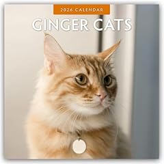 Ginger cats rote gebraucht kaufen  Wird an jeden Ort in Deutschland