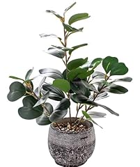 Fake plants rustic for sale  Delivered anywhere in USA 