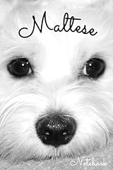 Maltese dog notebook for sale  Delivered anywhere in UK