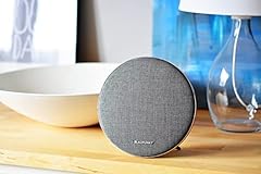 Blaupunkt gå oå usato  Spedito ovunque in Italia 