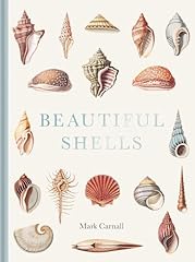 Beautiful shells george gebraucht kaufen  Wird an jeden Ort in Deutschland