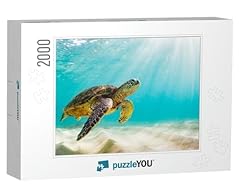 Photo sea turtle for sale  Delivered anywhere in USA 