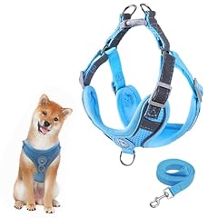 Hundegeschirr hundeleine set gebraucht kaufen  Wird an jeden Ort in Deutschland