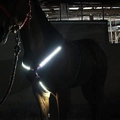 Ydia led horse for sale  Delivered anywhere in USA 