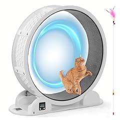 Lotfun cat exercise for sale  Delivered anywhere in USA 