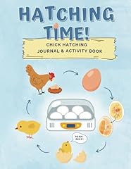 Hatching time chick for sale  Delivered anywhere in USA 