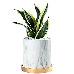 Feiaa plant pots for sale  Delivered anywhere in USA 
