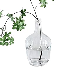 Buicce large clear for sale  Delivered anywhere in USA 