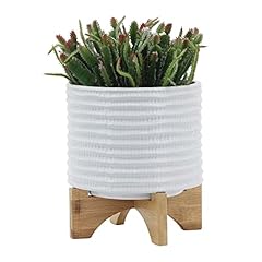 Sagebrook home ceramic for sale  Delivered anywhere in USA 