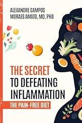 Secret defeating inflammation for sale  Delivered anywhere in UK