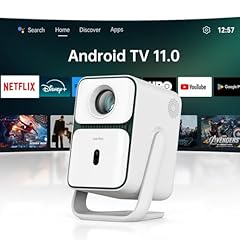 Wanbo ultra smart gebraucht kaufen  Wird an jeden Ort in Deutschland