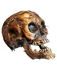 Horror shop vermoderter gebraucht kaufen  Wird an jeden Ort in Deutschland