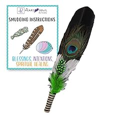 Smudge feather turkey for sale  Delivered anywhere in USA 