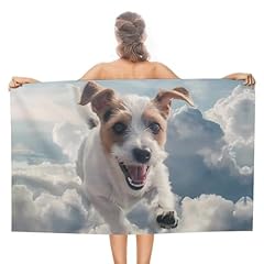 Jack russell terrier for sale  Delivered anywhere in UK