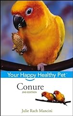 Conure happy healthy for sale  Delivered anywhere in USA 