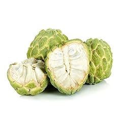 Sugar apple sẹẹds for sale  Delivered anywhere in USA 