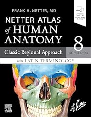 Netter atlas human usato  Spedito ovunque in Italia 