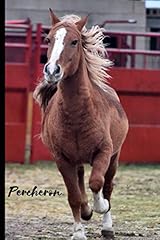 Percheron journal and gebraucht kaufen  Wird an jeden Ort in Deutschland