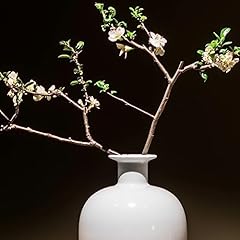 Tin glazed pottery for sale  Delivered anywhere in UK