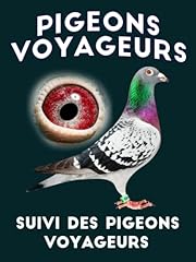Pigeon voyageur livre d'occasion  Livré partout en France
