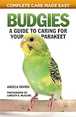 Budgies guide caring for sale  Delivered anywhere in USA 