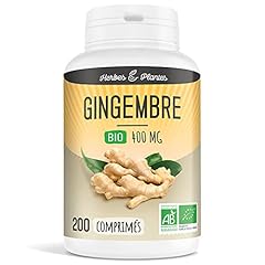 Herbes plantes gingembre d'occasion  Livré partout en France