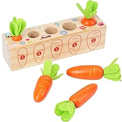 Xylolin montessori toys for sale  Delivered anywhere in USA 