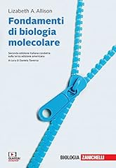 Fondamenti biologia molecolare usato  Spedito ovunque in Italia 