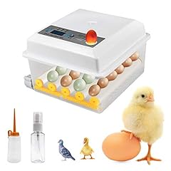 Egg Incubator, SEAAN-Automatic Egg Incubator for 16, used for sale  Delivered anywhere in UK
