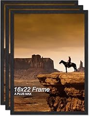 Plus max 16x22 for sale  Delivered anywhere in USA 