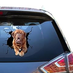 Adesivi per auto usato  Spedito ovunque in Italia 