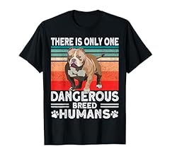 Bully pitbull dangerous for sale  Delivered anywhere in USA 