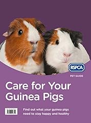 Care guinea pigs for sale  Delivered anywhere in UK