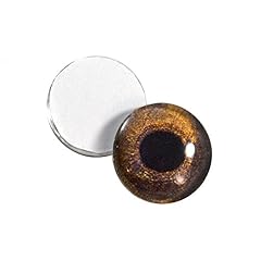 12mm hawk glass for sale  Delivered anywhere in USA 