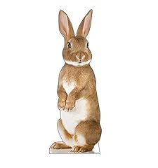 Cardboard people bunny for sale  Delivered anywhere in USA 