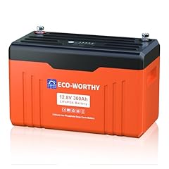 Eco worthy lifepo4 usato  Spedito ovunque in Italia 