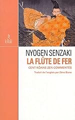 Flûte fer d'occasion  Livré partout en France