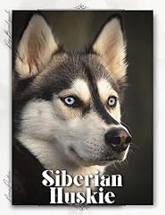 Siberian huskie dog for sale  Delivered anywhere in USA 