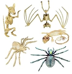 Charmed dragons halloween for sale  Delivered anywhere in USA 